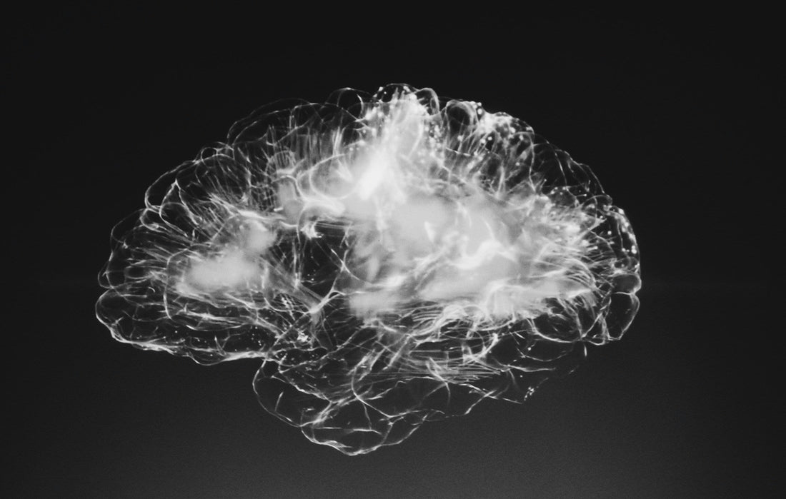 Brain Fog and Electrolytes | How Dehydration Disrupts Focus and Mental Clarity