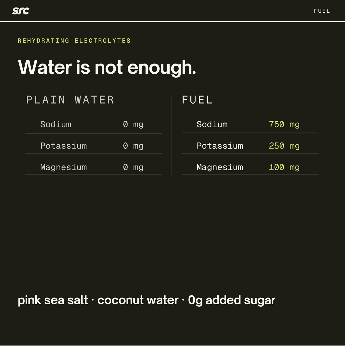 FUEL: Electrolyte Drink Mix